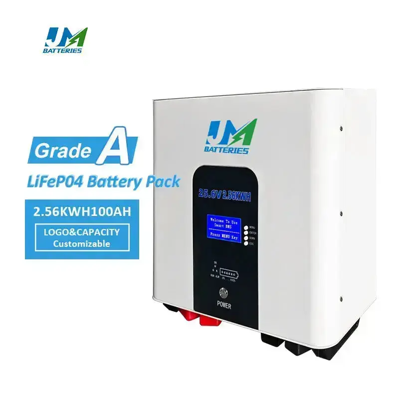 Wall-Mounted Lithium-Ion 100Ah Battery Sleek Space-Saving Battery and Dependable Battery