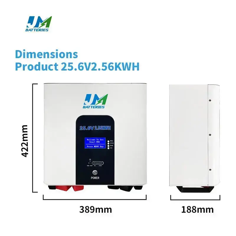 High Energy efficient wall mounted battery 25.6V 200AH long life battery - Image 10