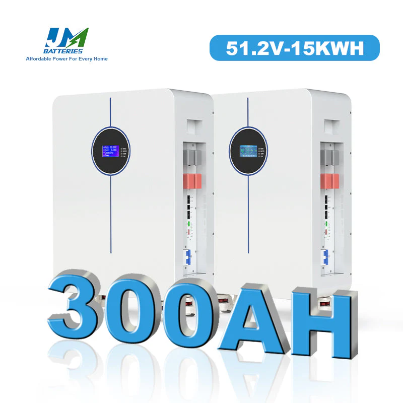 Energy Storage Battery with LCD Display Solar Power Movable Lithium Ion 48V 51.2V 300ah Battery Pack